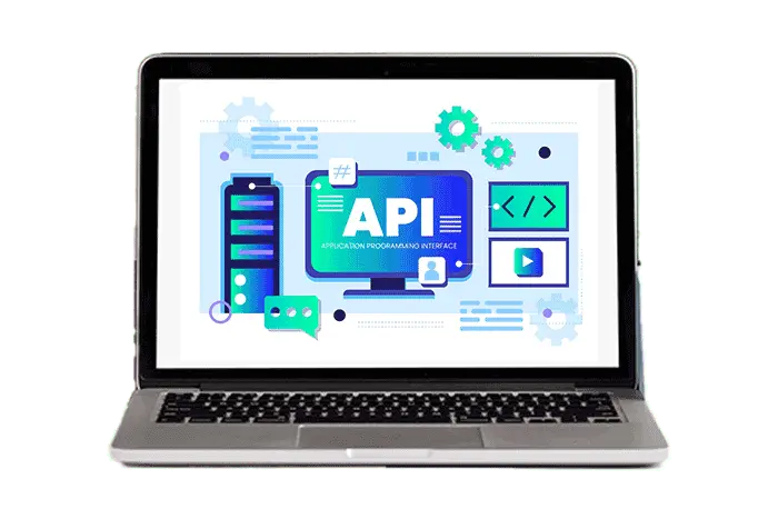 Custom api development