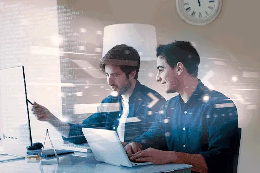 IT & Consulting